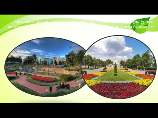 Городские парки несут экологическое, общественное, культурное, историческое назначение. Благодаря паркам, скверам, зеленым
