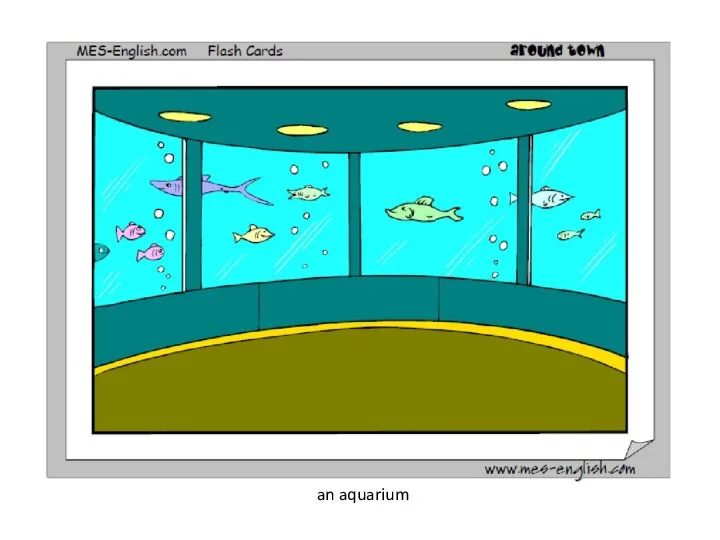 an aquarium