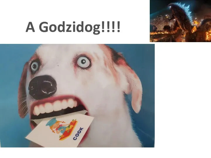 A Godzidog!!!!