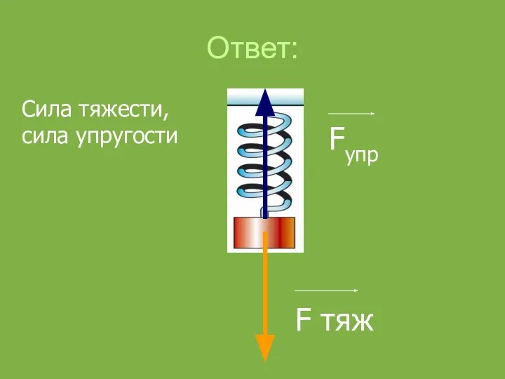 Ответ: Fупр F тяж Сила тяжести, сила упругости