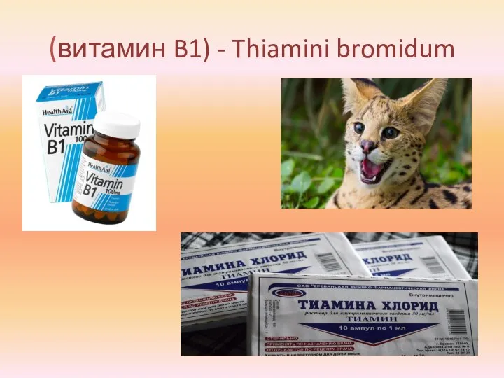 (витамин B1) - Thiamini bromidum