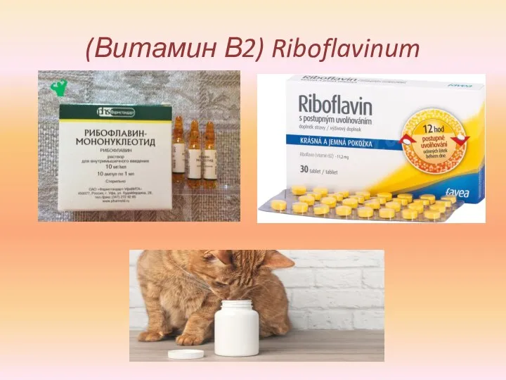 (Витамин В2) Riboflavinum