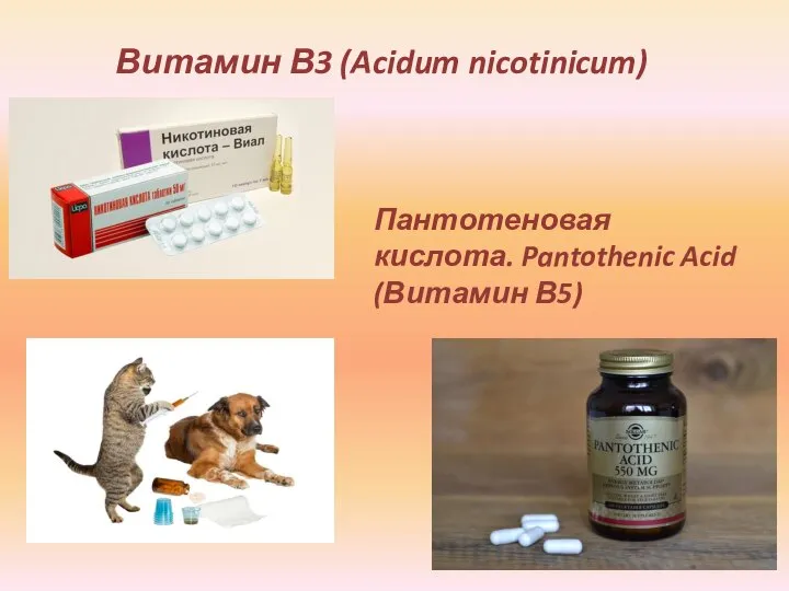 Витамин В3 (Acidum nicotinicum) Пантотеновая кислота. Pantothenic Acid (Витамин В5)