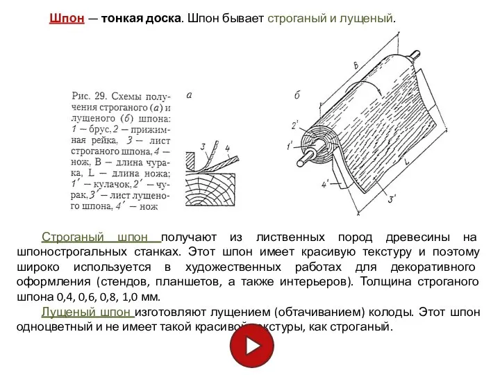 Строганый шпон получают из лиственных пород древесины на шпонострогальных станках. Этот шпон