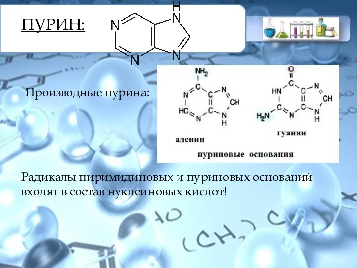 ПУРИН: Производные пурина: Радикалы пиримидиновых и пуриновых оснований входят в состав нуклеиновых кислот!