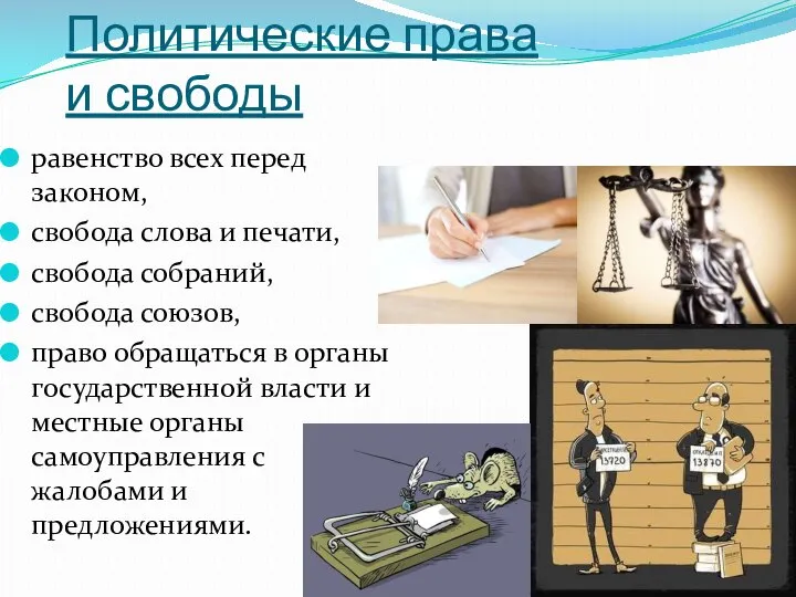 Политические права и свободы равенство всех перед законом, свобода слова и печати,