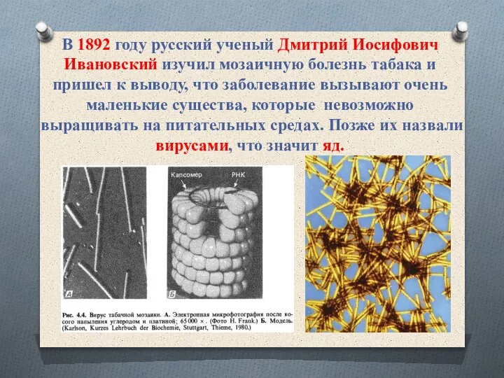 В 1892 году русский ученый Дмитрий Иосифович Ивановский изучил мозаичную болезнь табака