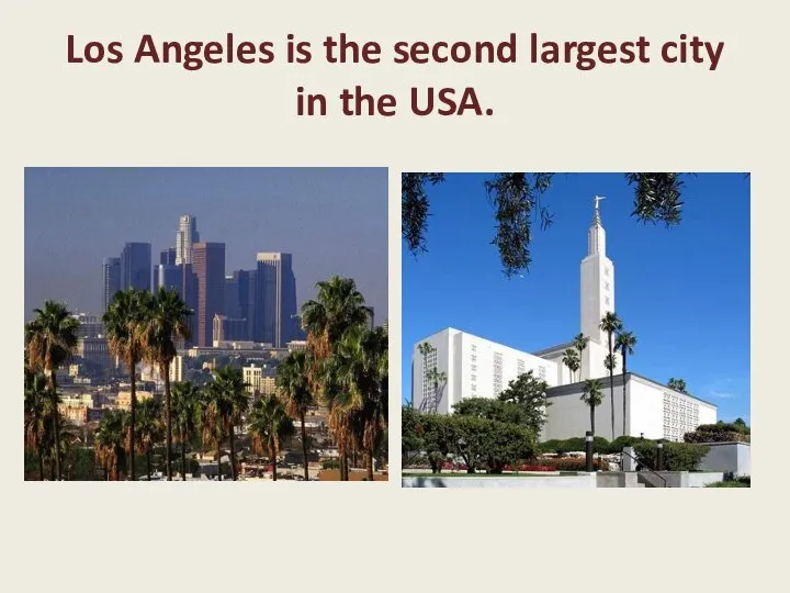 Los Angeles is the second largest city in the USA.