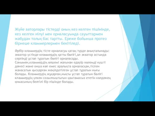 Жүйе авторлары тістерді оның кез келген пішінінде,кез келген иілуі мен орналасуында сауыттармен