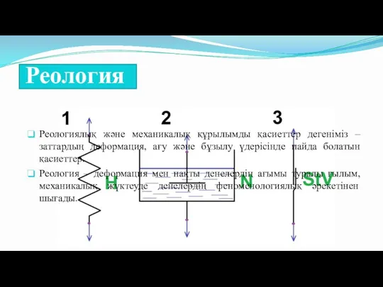 Реология Реологиялық жəне механикалық құрылымды қасиеттер дегеніміз – заттардың деформация, ағу жəне