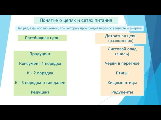 Понятие о цепях и сетях питания Это ряд взаимоотношений, при которых происходит