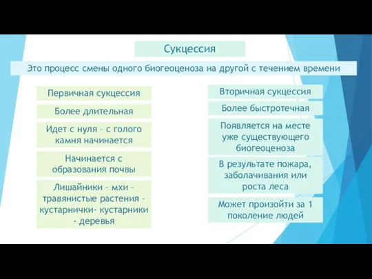 Сукцессия Это процесс смены одного биогеоценоза на другой с течением времени Первичная