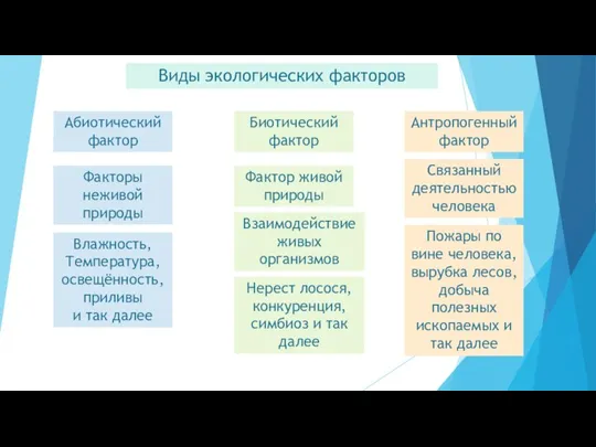 Виды экологических факторов Абиотический фактор Биотический фактор Антропогенный фактор Факторы неживой природы