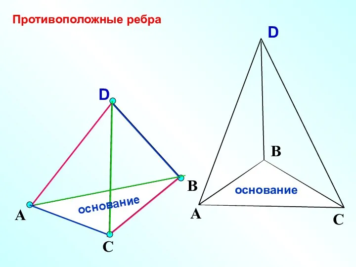 D А С В Противоположные ребра основание основание