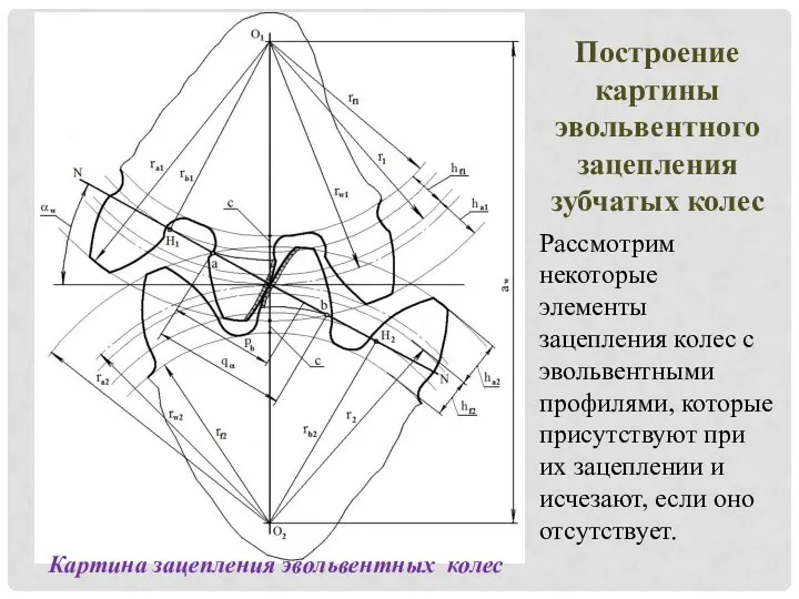 Картина зацепления эвольвентных колес Рассмотрим некоторые элементы зацепления колес с эвольвентными профилями,