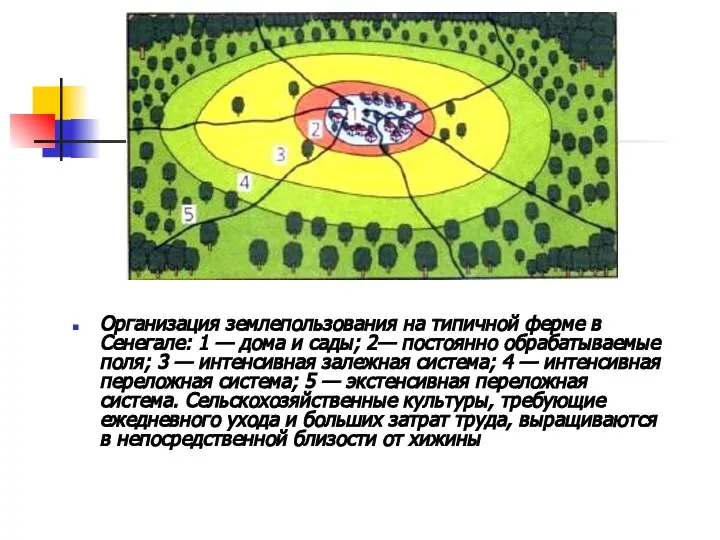 Организация землепользования на типичной ферме в Сенегале: 1 — дома и сады;