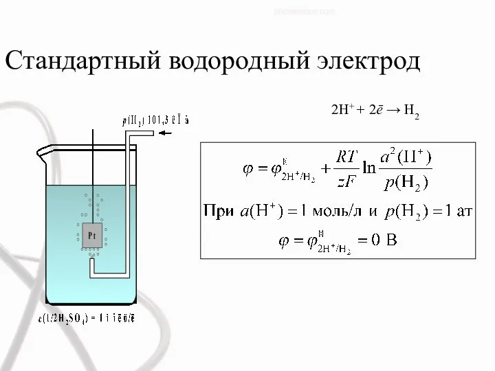 Стандартный водородный электрод 2H+ + 2ē → H2