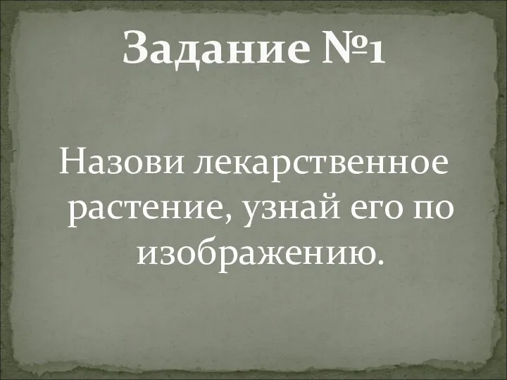 Назови лекарственное растение, узнай его по изображению. Задание №1