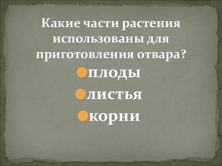 плоды листья корни Какие части растения использованы для приготовления отвара?