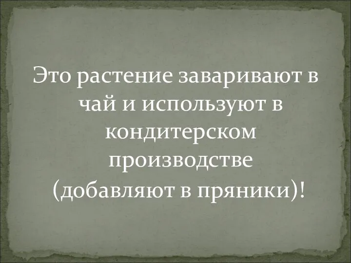 Это растение заваривают в чай и используют в кондитерском производстве (добавляют в пряники)!