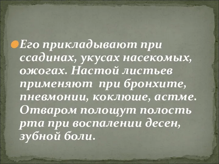 Его прикладывают при ссадинах, укусах насекомых, ожогах. Настой листьев применяют при бронхите,