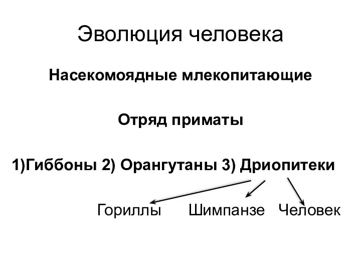 Эволюция человека Насекомоядные млекопитающие Отряд приматы Гиббоны 2) Орангутаны 3) Дриопитеки Гориллы Шимпанзе Человек