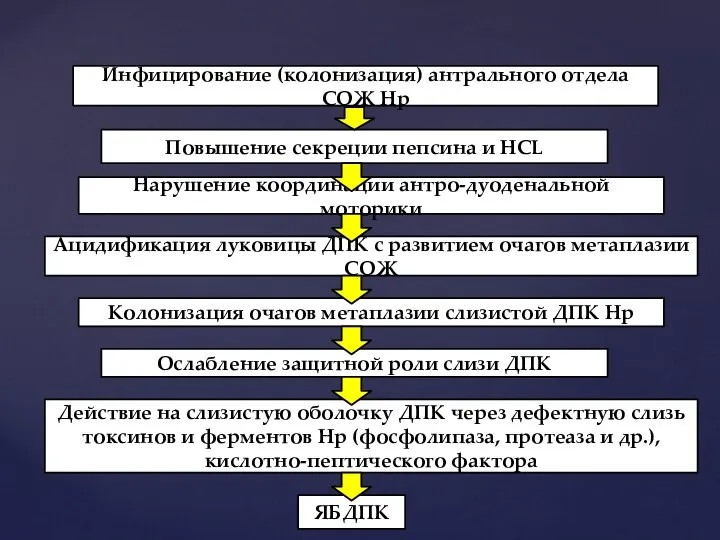 Инфицирование (колонизация) антрального отдела СОЖ Нр Повышение секреции пепсина и НСL Нарушение