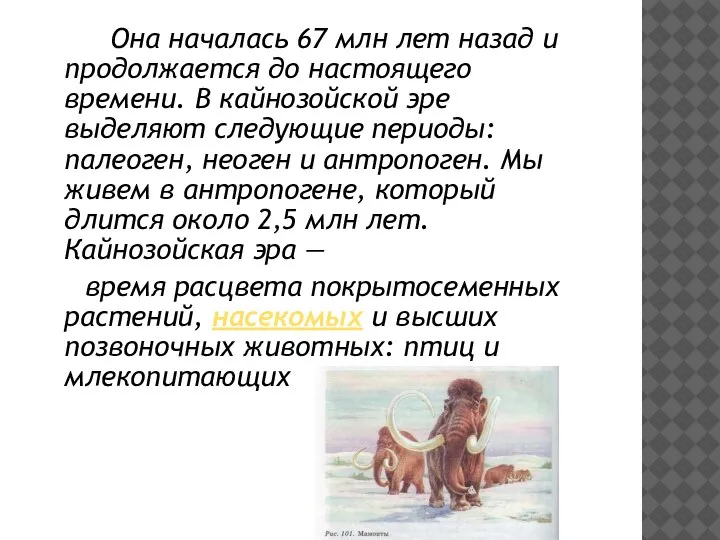 Она началась 67 млн лет назад и продолжается до настоящего времени. В