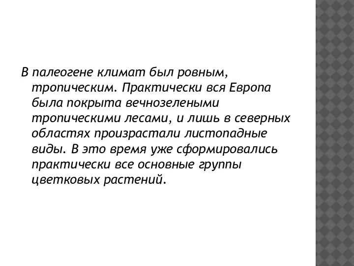 В палеогене климат был ровным, тропическим. Практически вся Европа была покрыта вечнозелеными