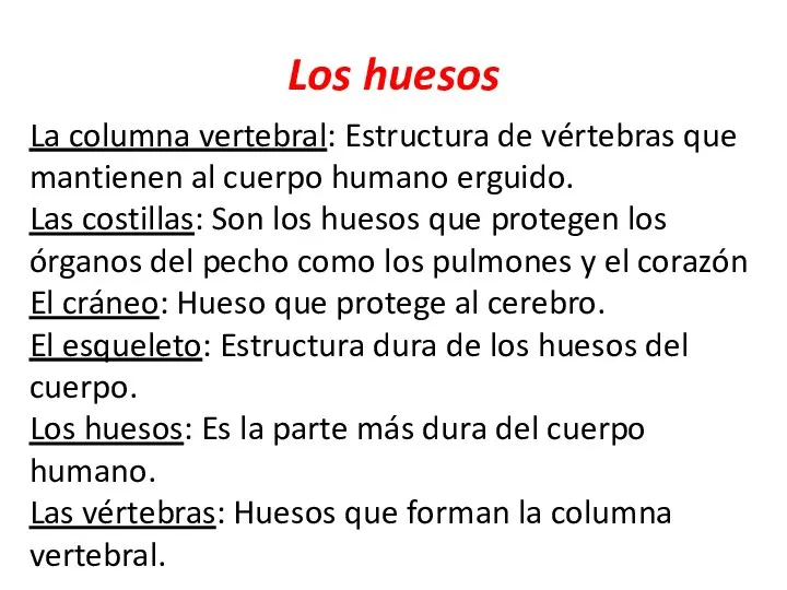 Los huesos La columna vertebral: Estructura de vértebras que mantienen al cuerpo