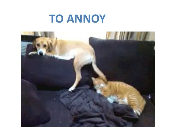 TO ANNOY