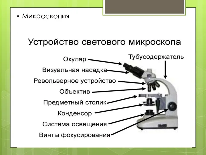 Микроскопия