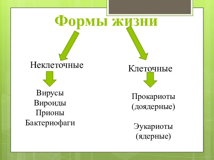 Формы жизни Неклеточные Вирусы Вироиды Прионы Бактериофаги Клеточные Прокариоты (доядерные) Эукариоты (ядерные)