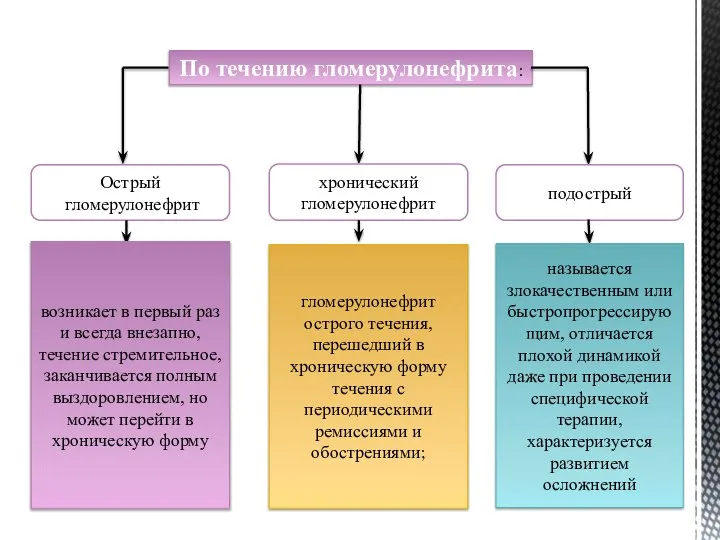 По течению гломерулонефрита: Острый гломерулонефрит подострый возникает в первый раз и всегда