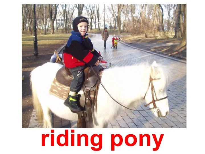riding pony