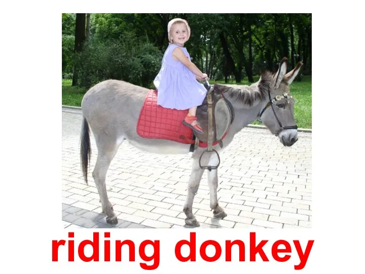riding donkey