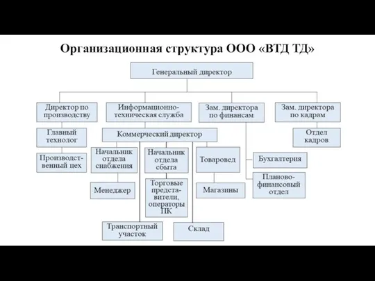 Организационная структура ООО «ВТД ТД»