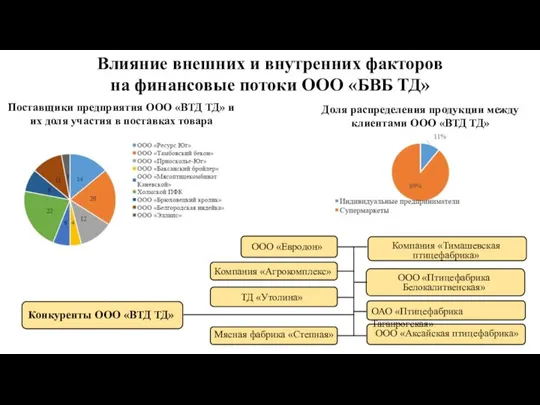 Влияние внешних и внутренних факторов на финансовые потоки ООО «БВБ ТД» Доля