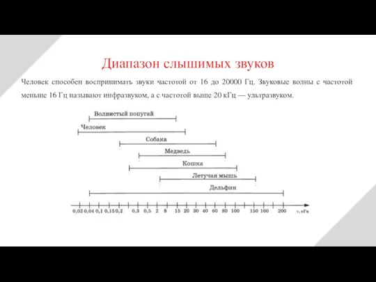 Человек способен воспринимать звуки частотой от 16 до 20000 Гц. Звуковые волны