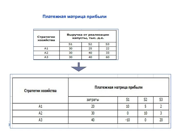 Платежная матрица прибыли