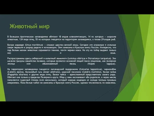 Животный мир В Большом Арктическом заповеднике обитают 18 видов млекопитающих, 14 из