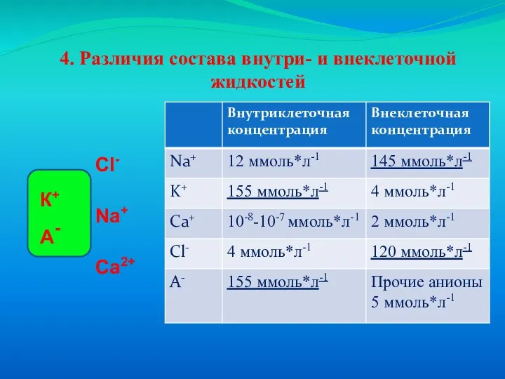 4. Различия состава внутри- и внеклеточной жидкостей