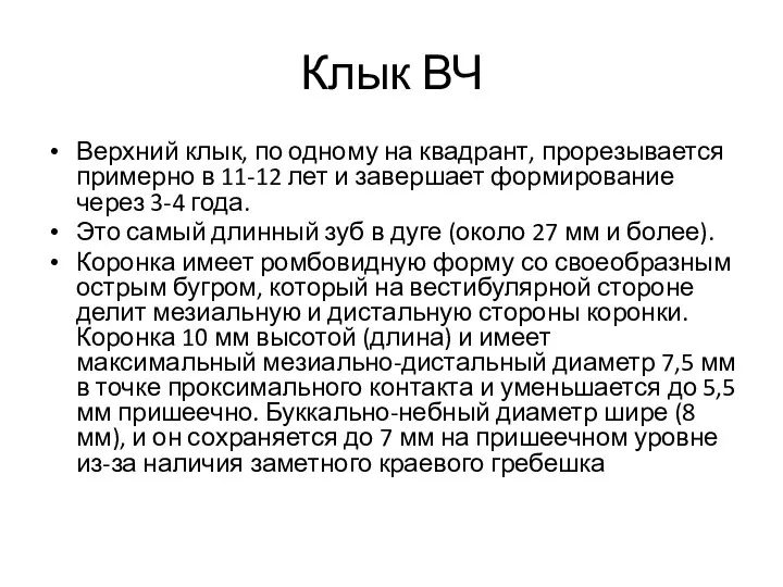 Клык ВЧ Верхний клык, по одному на квадрант, прорезывается примерно в 11-12