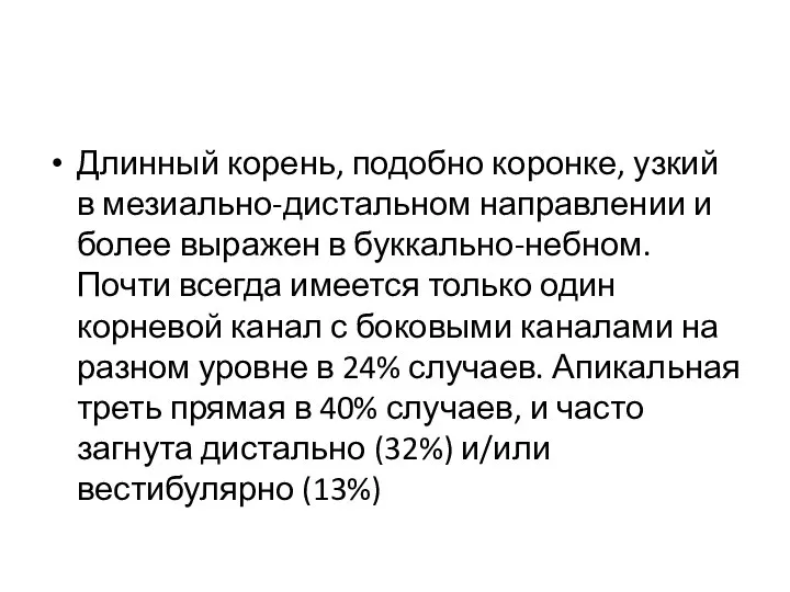 Длинный корень, подобно коронке, узкий в мезиально-дистальном направлении и более выражен в