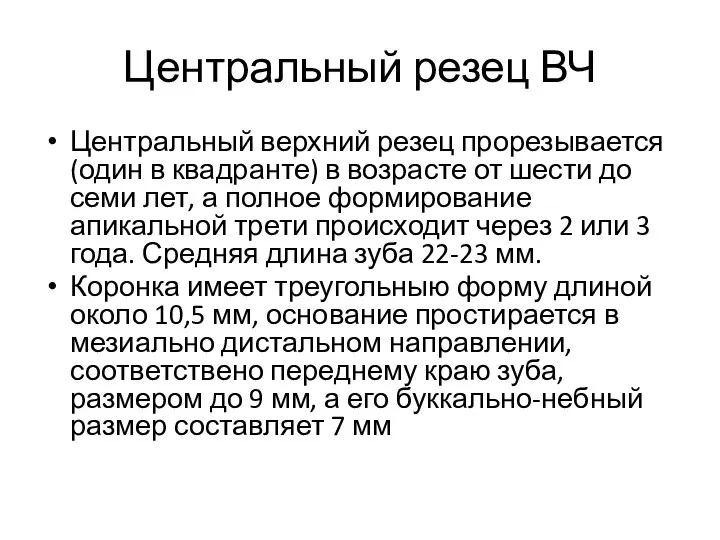 Центральный резец ВЧ Центральный верхний резец прорезывается (один в квадранте) в возрасте