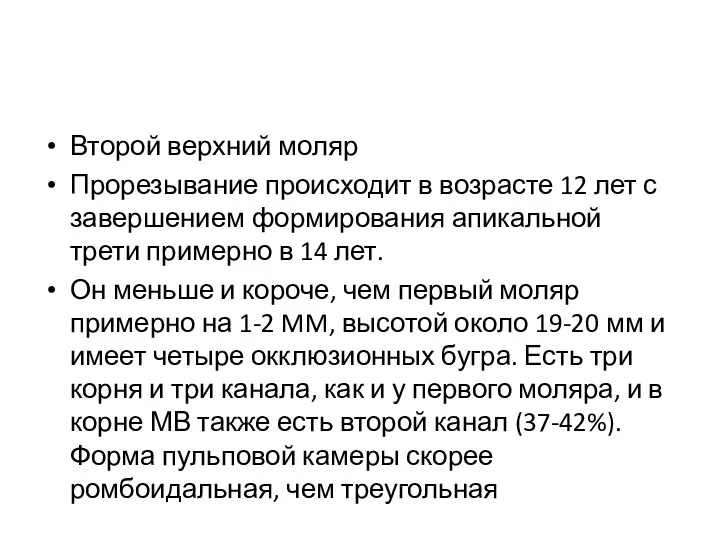 Второй верхний моляр Прорезывание происходит в возрасте 12 лет с завершением формирования