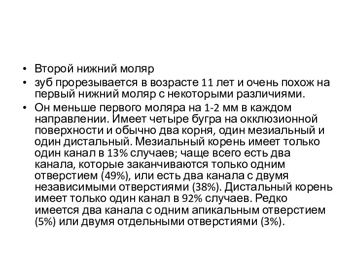 Второй нижний моляр зуб прорезывается в возрасте 11 лет и очень похож