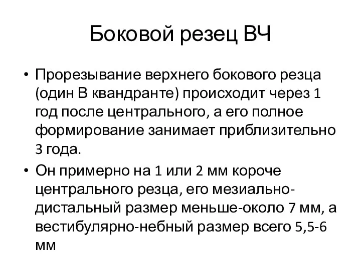 Боковой резец ВЧ Прорезывание верхнего бокового резца (один В квандранте) происходит через