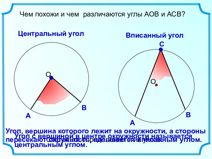 Чем похожи и чем различаются углы АОВ и АСВ? Центральный угол Вписанный