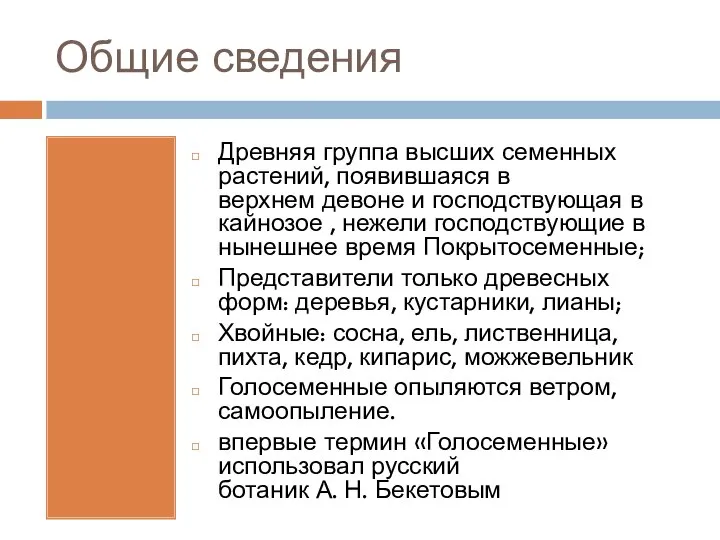 Общие сведения Древняя группа высших семенных растений, появившаяся в верхнем девоне и